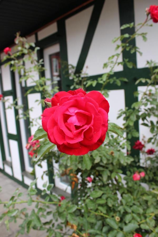 Sommerliches Fachwerkhaus im Herzen Nideggens Exterior foto
